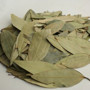 kari patta (Curry Leaves)