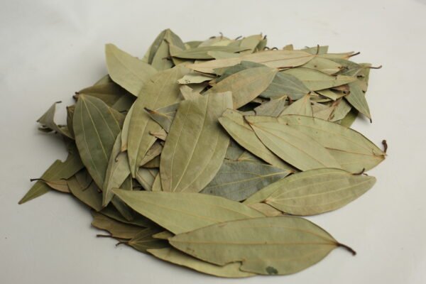 kari patta (Curry Leaves)