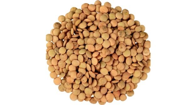 Daal Masar (Red lentils)