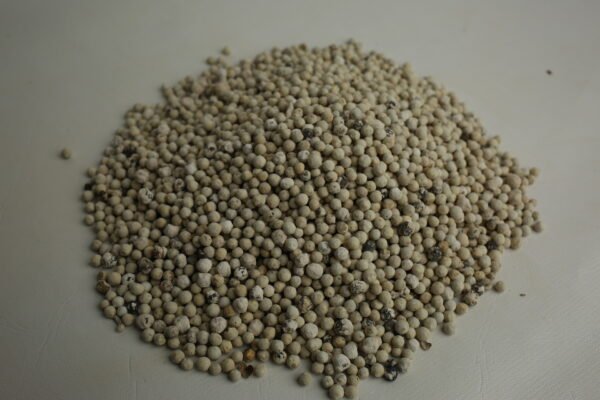 White Pepper (Sofaid Mirch)